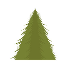 green pine tall tree icon over white background. vector illustration