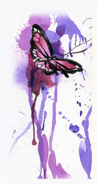 butterfly drawn with a pencil,brush and watercolor
