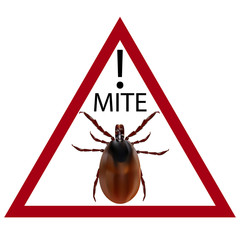 Warning sign. Carefully harvest bug. illustration