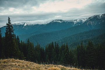 Beautiful Misty Mountain Landscape