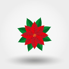 Poinsettia. Christmas Star vector icon