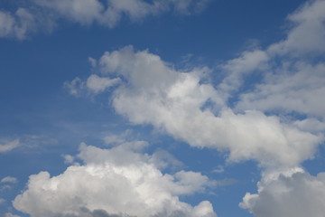 Obraz premium Clouds in the blue sky