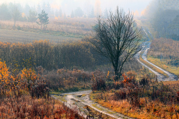 Jesienne Drogi  © Wojciech Lisiński