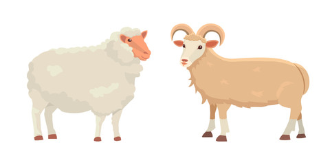 Obraz premium Vector set Cute Sheep and Ram isolated retro illustration. Standing Sheeps silhouette on white. Farm fanny milk young animals