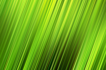 Abstract a contrasting background of green lines