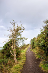 road uphill, Holyrood park, Edinburgh