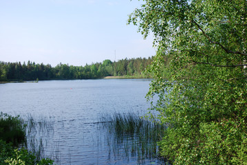 Swedish lake view