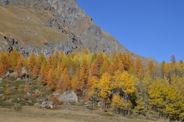 Autunno in montagna
