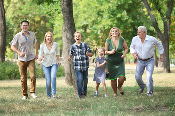 Large happy family walking in park