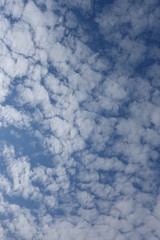 Obraz premium Clouds in the blue sky