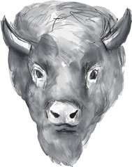 Obraz premium American Bison Head Watercolor