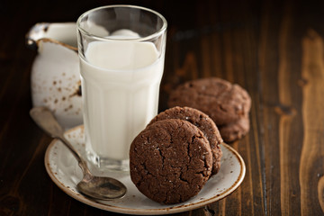 Chocolate cookies with a glass of milk