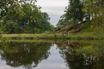 Fototapeta na wymiar Reflections in a pond in Ambleside countryside, Cumbria, UK