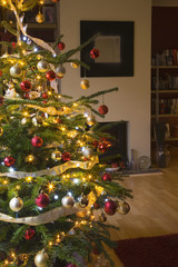 Illuminated Christmas tree in living room