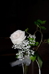 bouquet white roses on black background