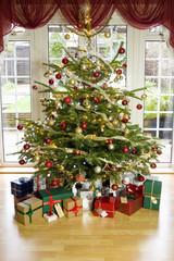 Presents under an illuminated christmas tree in the living room