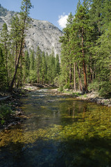 Tuolumne River