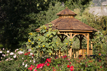 Cedar Gazebo Backyard Garden Park