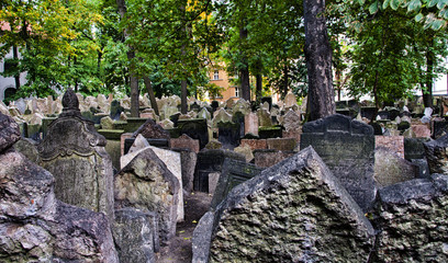 Jewish cemetery in Prague
