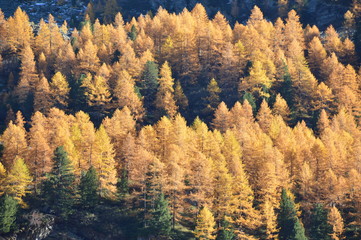 Autunno in montagna