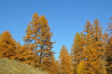 Autunno in montagna
