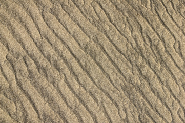 Sand Ripple Background