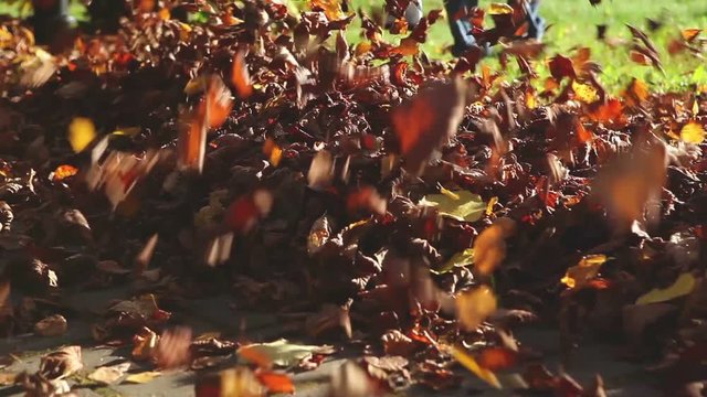 Leaf blower in action, clean up dry leaves from a tile
