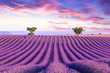 Deurstickers Lavendel Lavendel veld zomer zonsondergang landschap