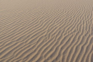 Desert Sand Ripples