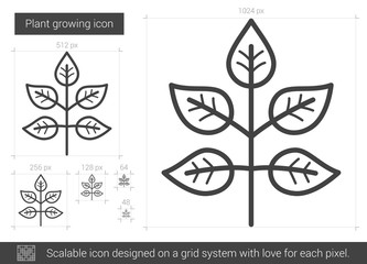Plant growing line icon.