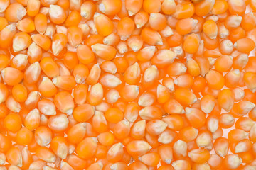 corn seeds background.