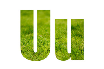 Double exposure with green grass. Letter U. Isolated on white background