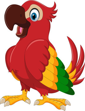 Cute Parrot Cartoon Posing