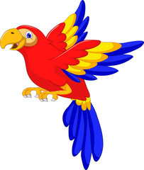 macaw bird cartoon flying