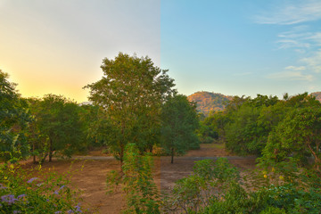 nature view and hdr filter-Half image editing process