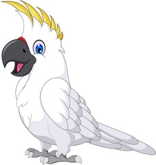 cute cockatoo cartoon posing