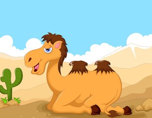 Fototapeta premium cute camel cartoon sitting in the desert