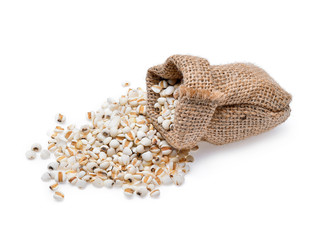 millet grains on white background