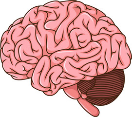 human brain cartoon