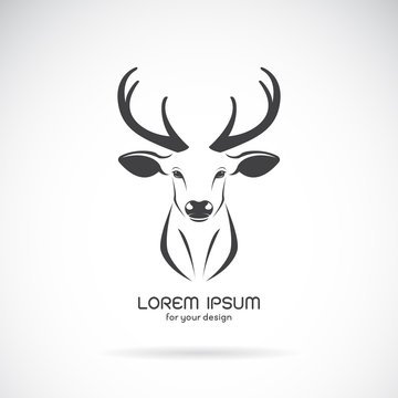 Vector image of a deer head design on white background, Vector d