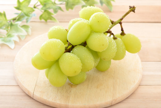 黄緑のフルーツ Photos Royalty Free Images Graphics Vectors Videos Adobe Stock 黄緑のフルーツ Photos Royalty Free Images Graphics Vectors Videos Adobe Stock