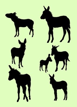 Donkeys animal gesture silhouette.Good use for symbol, logo, web icon, mascot, sign, or any design you want.