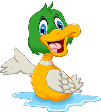 funny baby duck cartoon posing
