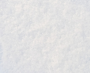 fresh snow