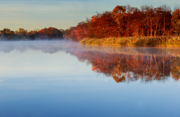 Fantastic foggy river with fresh green grass in the sunlight.