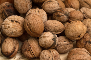 many ripe raw unpeeled walnuts