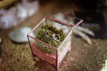 Wedding rings in a glass box
