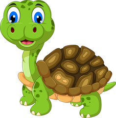 cut cartoon turtle