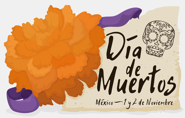 Cempasuchil Flower with Scroll and Ribbon Celebrating "Dia de Muertos", Vector Illustration