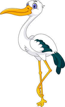 cute stork cartoon posing